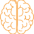 cerveau cerveau