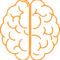 cerveau cerveau